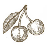 οικοτεχνία πασιαλή